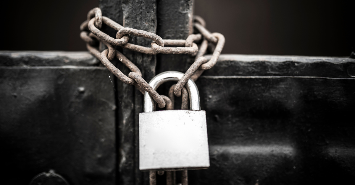 Securing your Site over the Christmas Period - THX