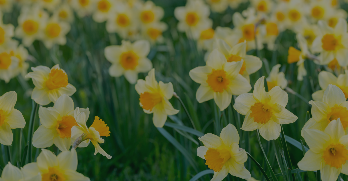 Understanding Hand Arm Vibration in Construction: Risks, Effects, and ...